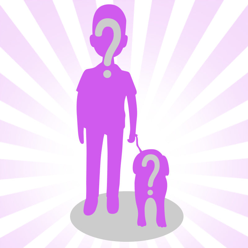 Custom Bobblehead for One Person & Four Pets - Personalized Family & Pet Figurine - Perfect for Gifts, Home Decor & Pet Lovers