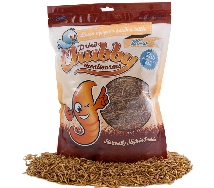 Premium Chubby Dried Mealworms for Reptiles & Birds - High Protein Pet Food, 2 lb Resealable Bag - Ideal for Bearded Dragons, Chickens & Wild Birds Feeding
