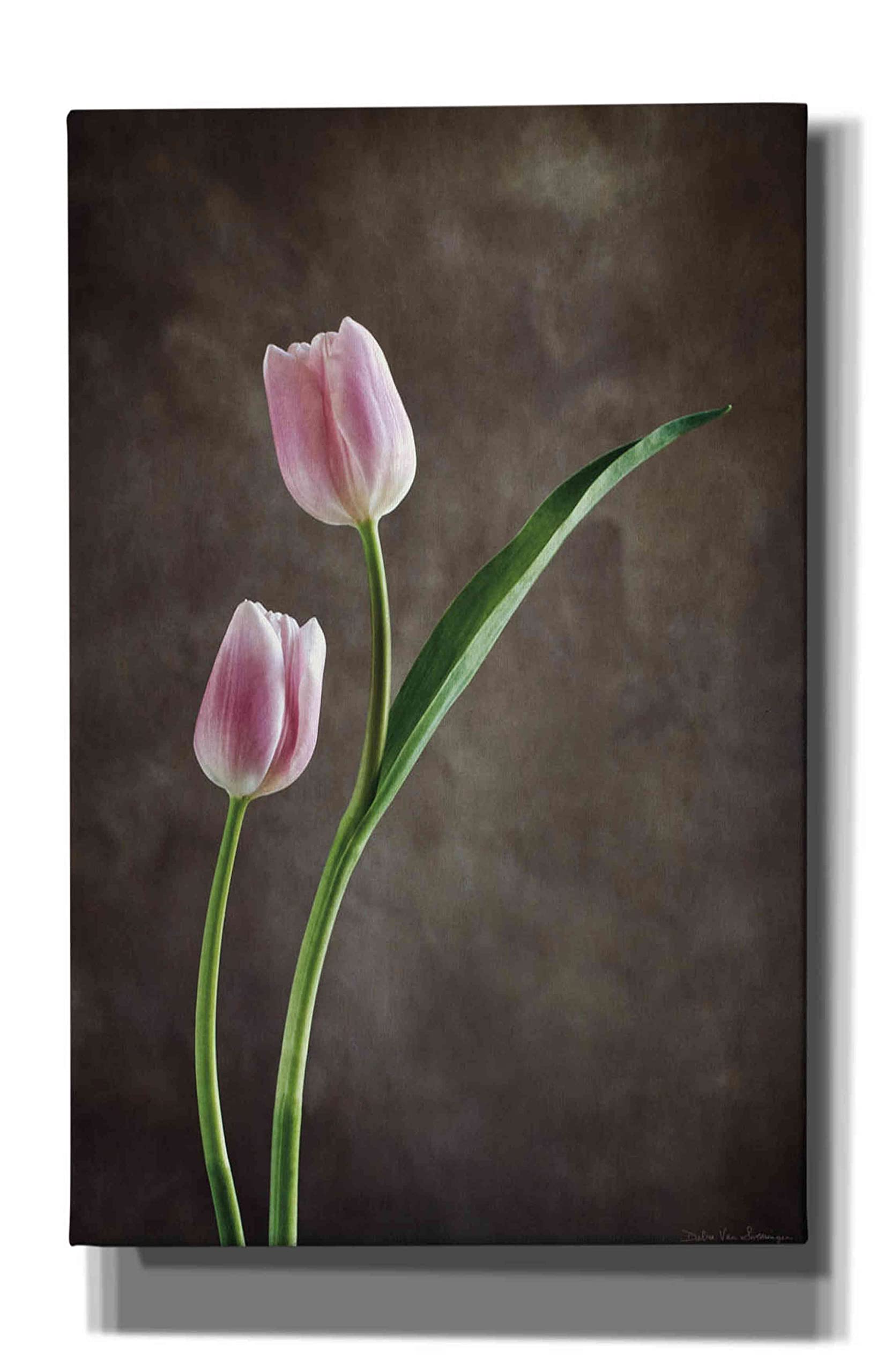 Debra Van Swearingen 'Spring Tulips IV' Canvas Wall Art - 26x40 Inch Floral Painting, Modern Home Decor for Living Room, Bedroom & Office