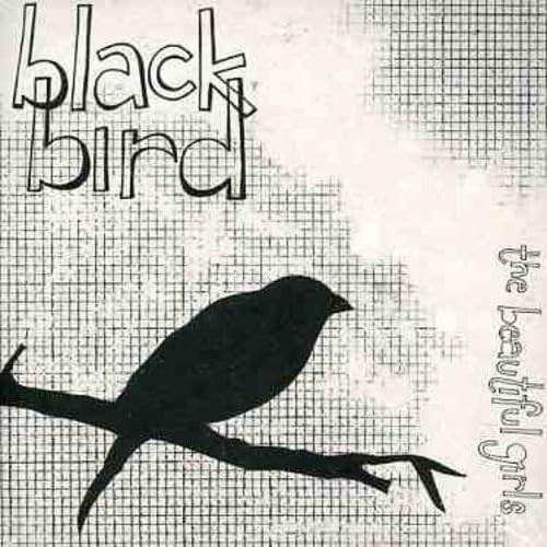 Blackbird - High-Quality Blackbird Products for Home & Office | Perfect for Decor, Gifts & Collectibles
