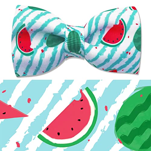 E#Fruit-Watermelon