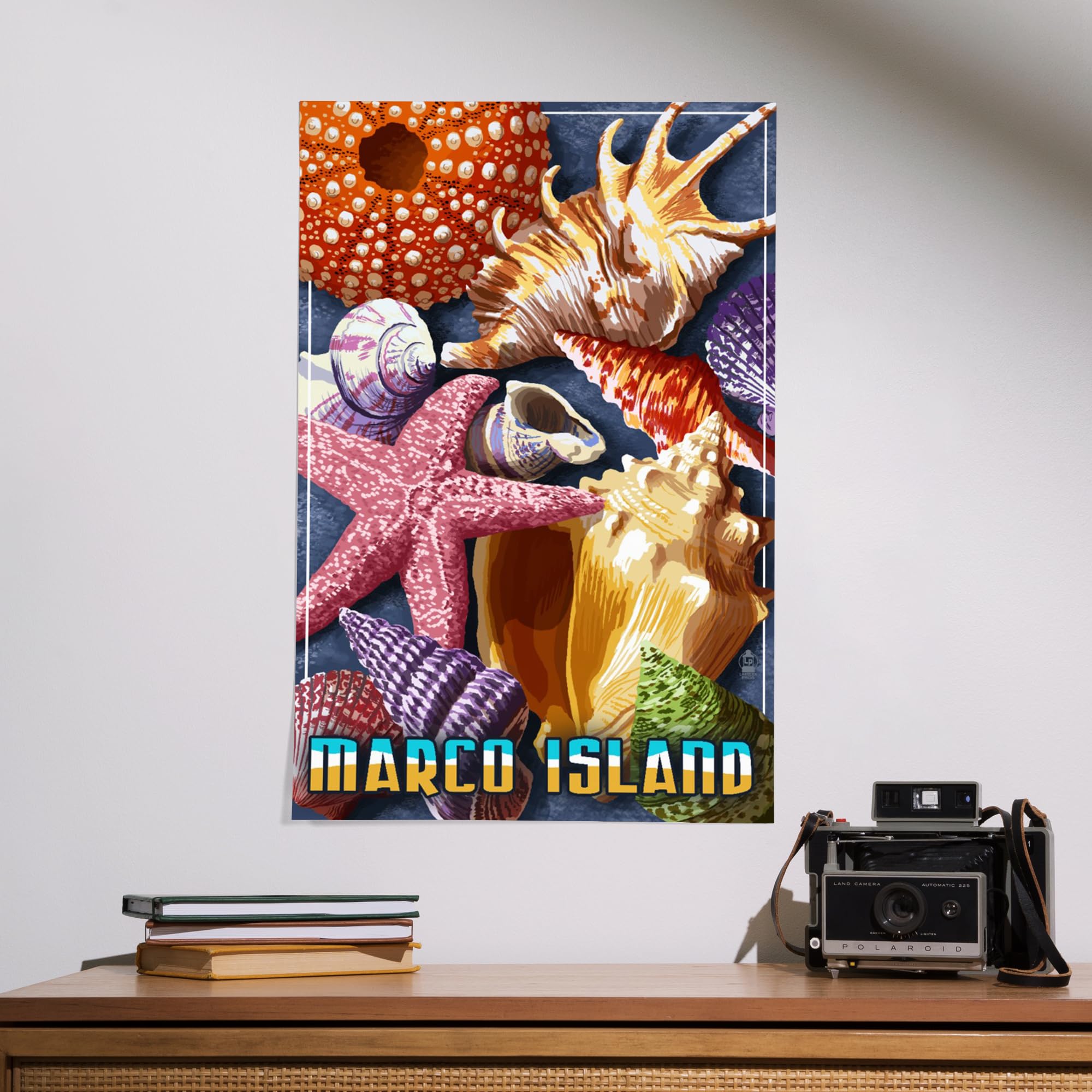 Lantern Press 16x24 Inch Giclee Art Print - Marco Island Shells Wall Decor | Coastal Beach House Decor, Living Room & Bedroom Wall Art