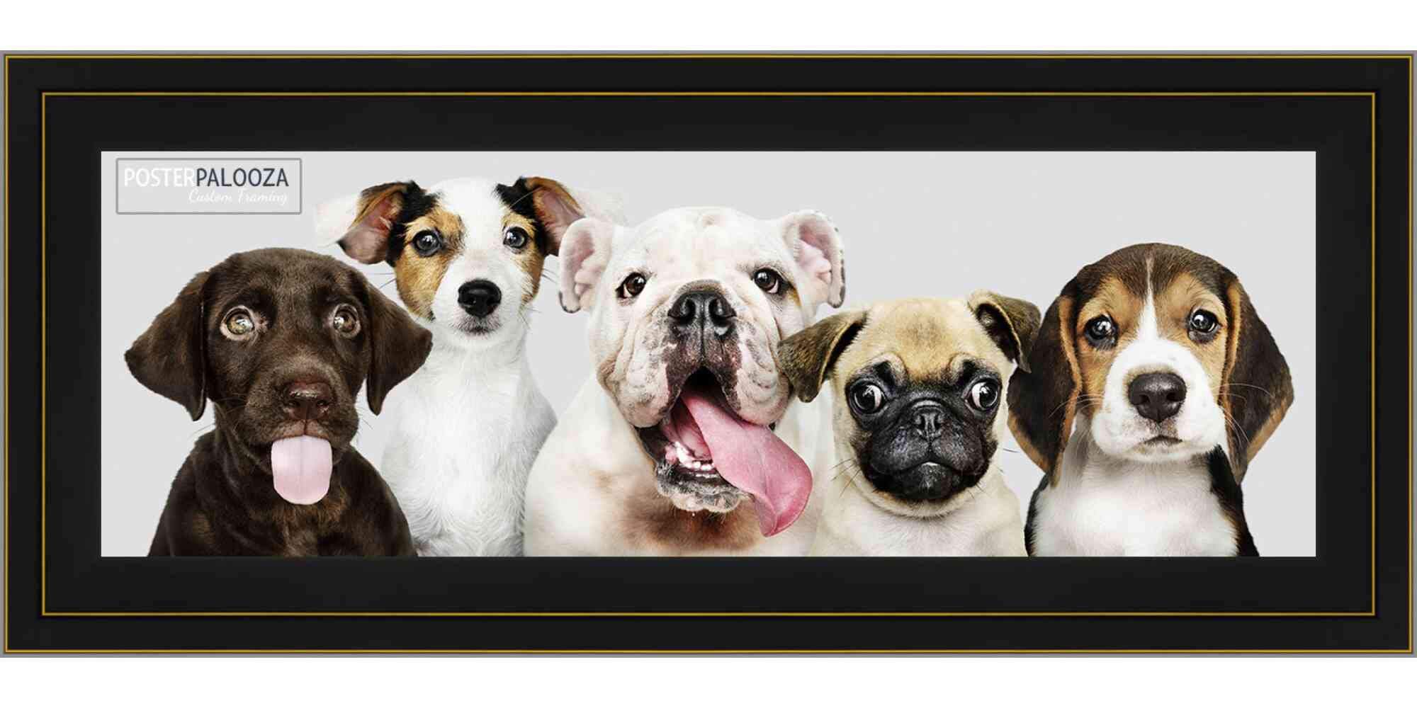 36x12 Contemporary Black Panoramic Wood Picture Frame with UV Acrylic & Foam Board Backing - Perfect for Wall Art, Home Decor, Office Display, and Photo Gallery (Includes Hanging Hardware)