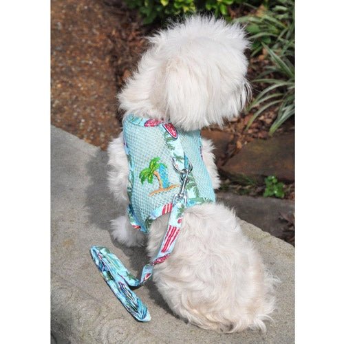 Cool Mesh Dog Harness with Leash - Breathable Adjustable Pet Vest for Small Medium Large Dogs - Perfect for Walking, Running, Beach Outings & Surfing with Your Dog