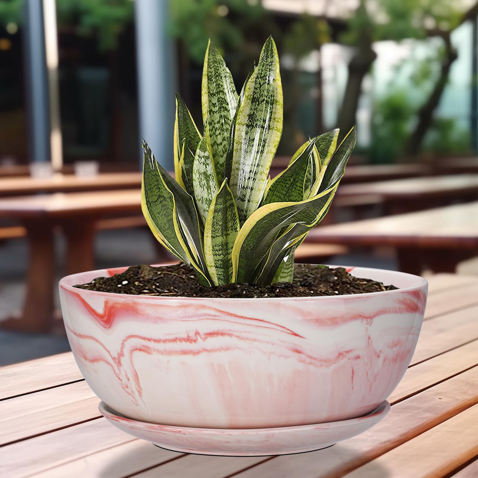 Large Ceramic Succulent Planter Pot with Drainage Hole & Saucer - Marble Flower Pot for Indoor/Outdoor Plants, Round Bonsai Planter in Pink - Perfect for Home Decor, Office Desk, Garden & Patio