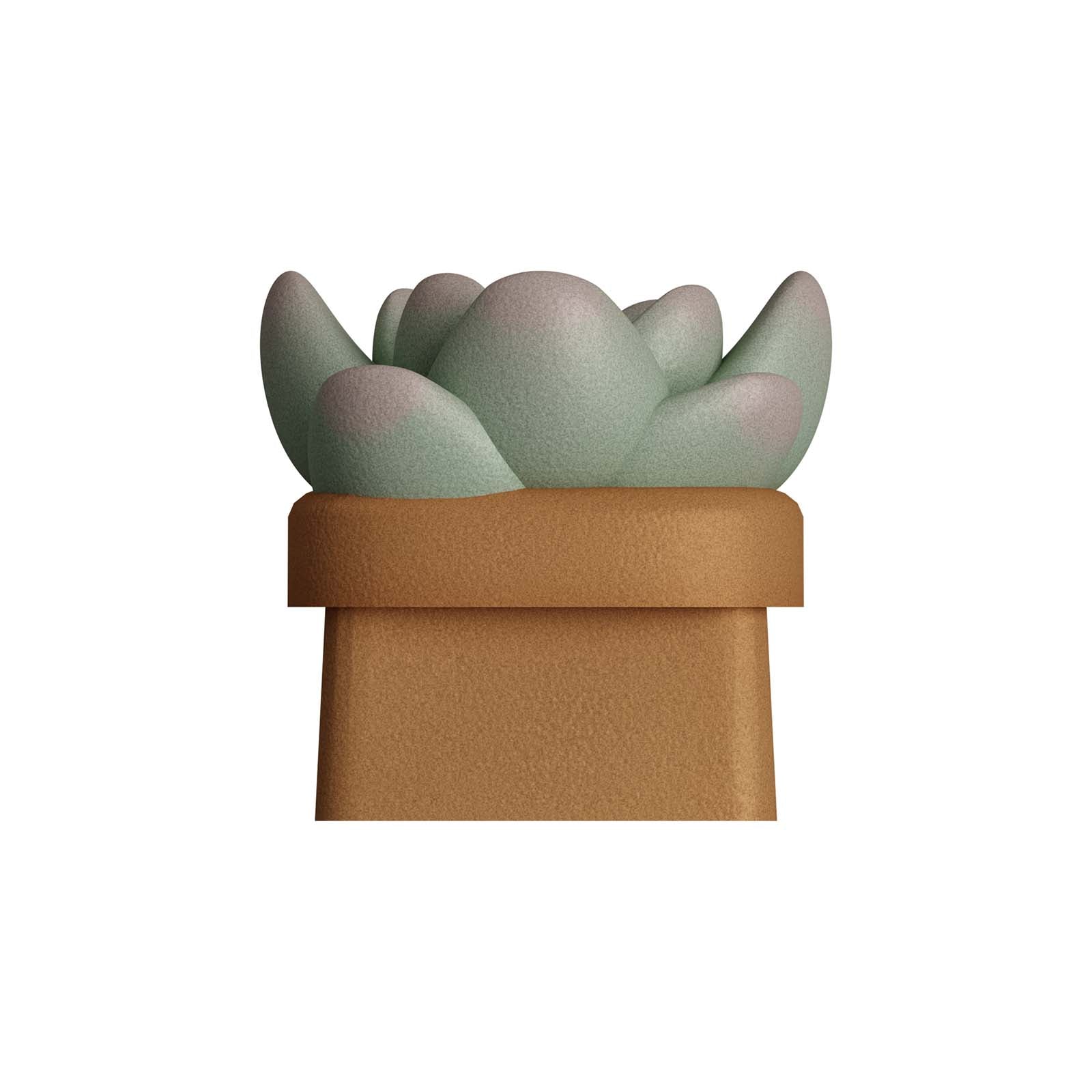 HX3D Custom Keycap - Sally the Succulent Design for Mechanical Keyboards | Perfect for Gaming & Typing Enthusiasts