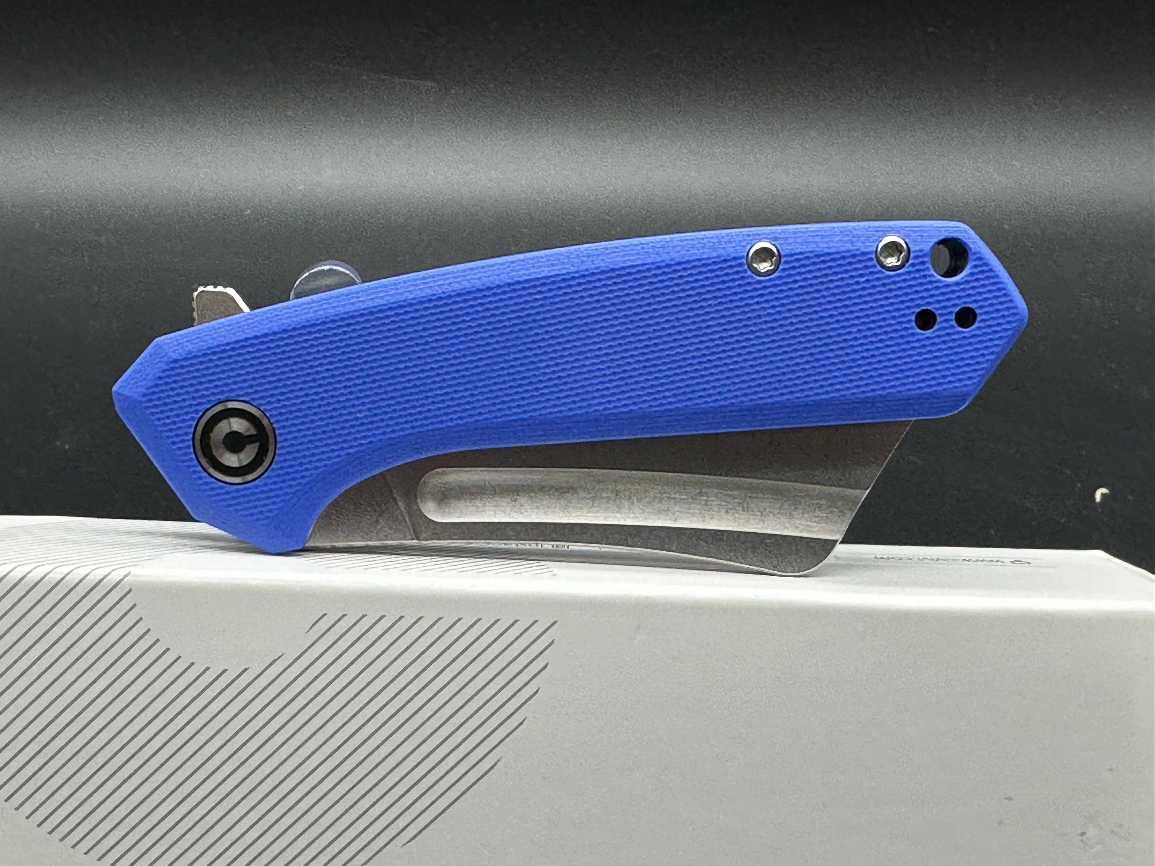CIVIVI Mini Bullmastif Flipper Knife - Premium G10 Handle Folding Pocket Knife for EDC, Outdoor Camping & Survival Gear