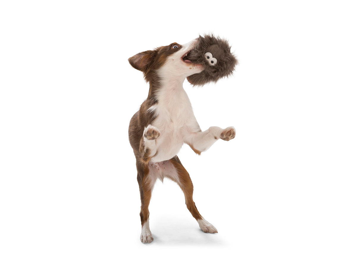West Paw Design Rosebud Dog Toy - Durable Chew Toy for Small & Medium Dogs, Non-Toxic & Eco-Friendly - Perfect for Indoor Play, Fetch, and Training Sessions