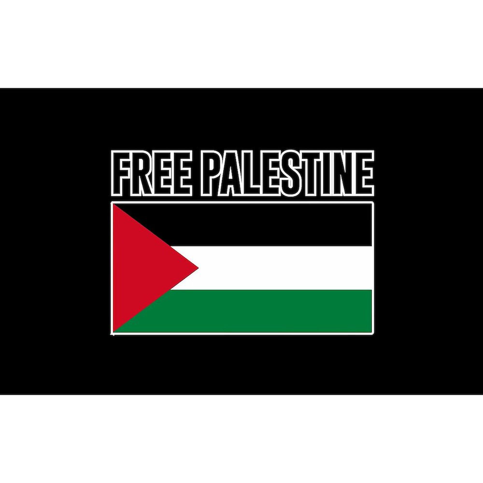 Free Palestine Oval Car Bumper Sticker - Waterproof Vinyl Decal for Cars, Trucks, Laptops - Show Your Support - Perfect for Political Activism & Social Justice Awareness