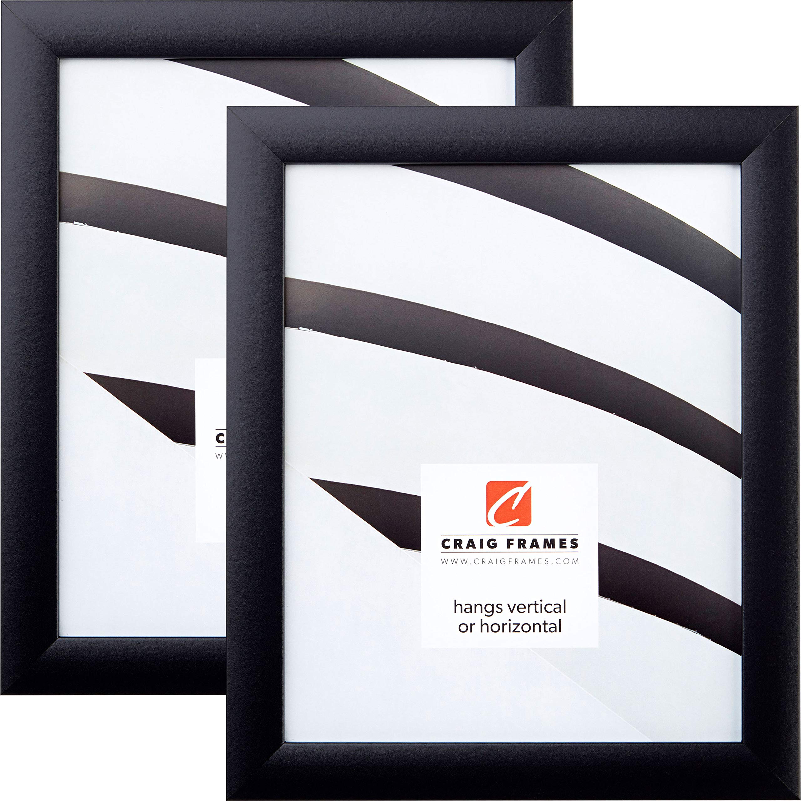 Craig Frames 16x24 Inch Black Picture Frame Set of 2 - 1WB3BK - Perfect for Wall Art, Photos & Home Decor