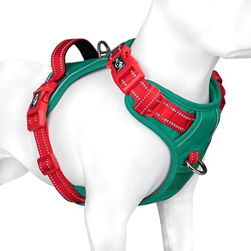 Dark Green Base & Red Straps