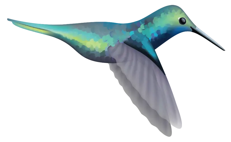 Beautiful Hummingbird Decals - Vibrant Waterproof Vinyl Stickers for Laptops, Phones, Cars & DIY Crafts - Perfect for Home Decor, Scrapbooking & Gift Giving