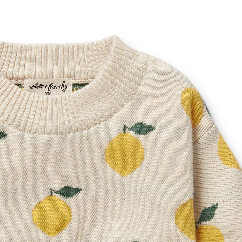 Organic Cotton Lemony Knitted Jacquard Sweater for Women - Soft Casual Pullover for Fall & Winter, Perfect for Office Wear and Weekend Outings