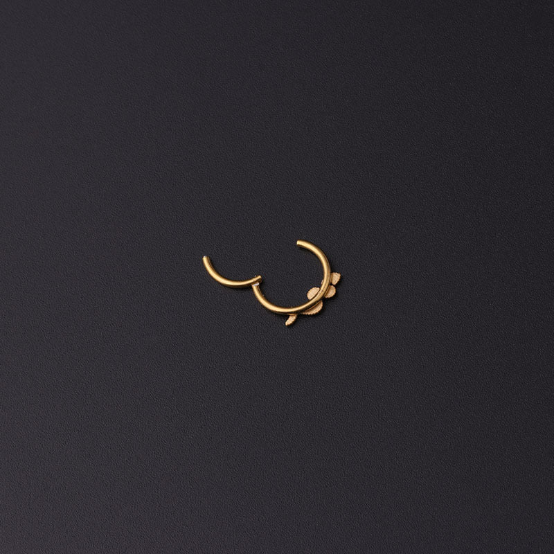 16G Snake Hoop Nose Ring - Stainless Steel Animal Piercing Jewelry for Women & Men | Perfect for Gothic, Punk, and Body Modification Styles | HSPJ338