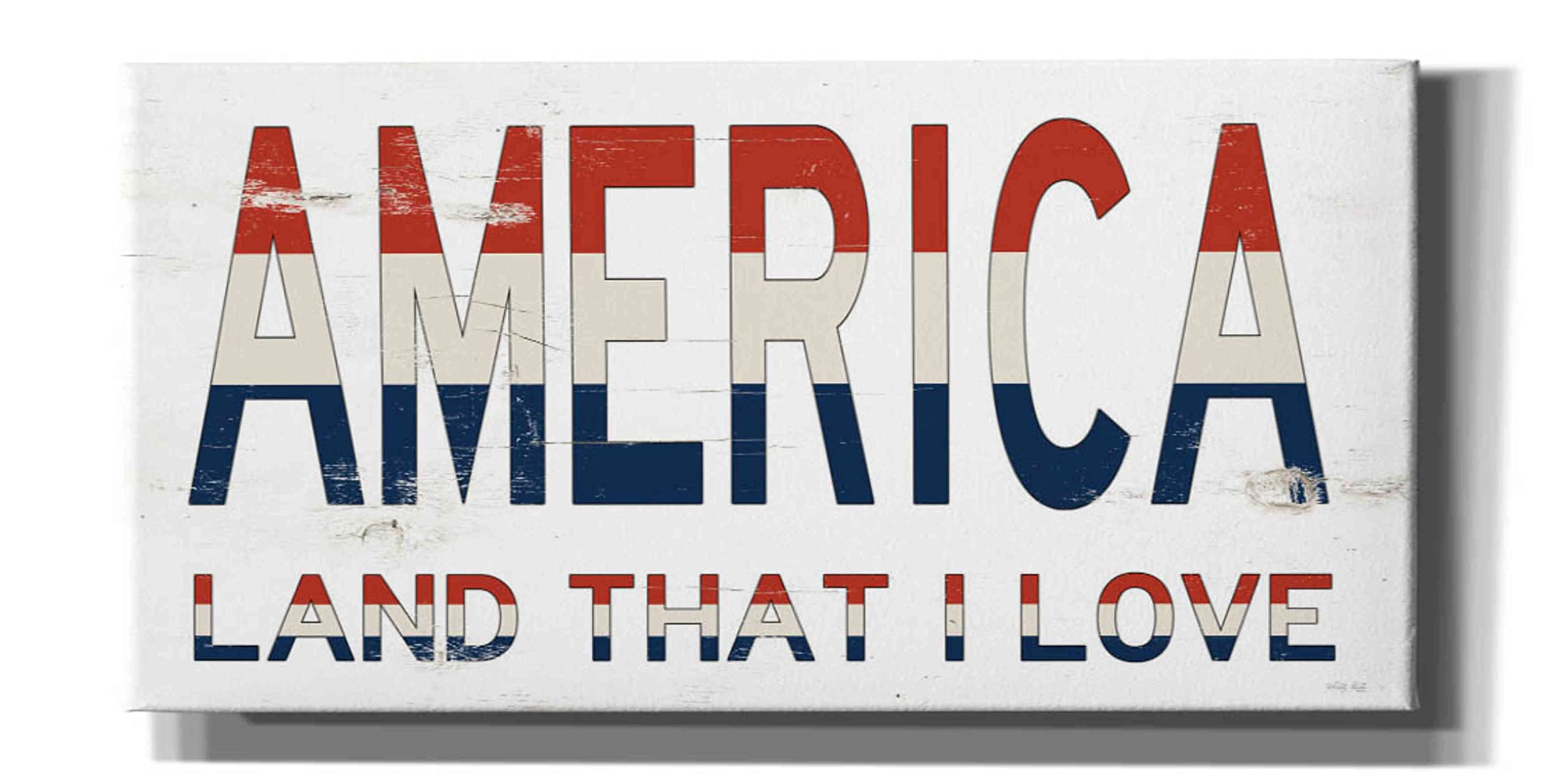 Epic Graffiti 'America - Land That I Love' by Cindy Jacobs - 40