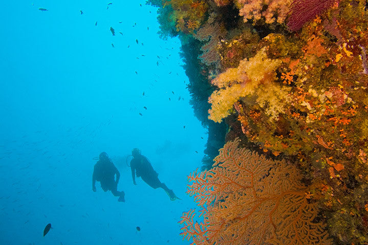 SSI Open Water Scuba Diving Certification Course - Learn to Dive for Beginners & Explore Underwater Adventures