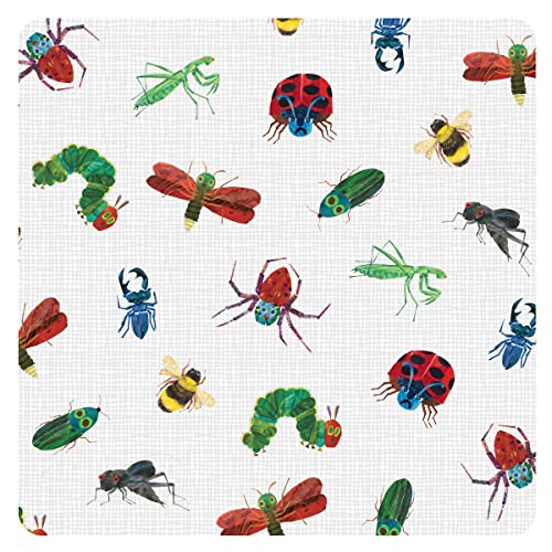 Bug World