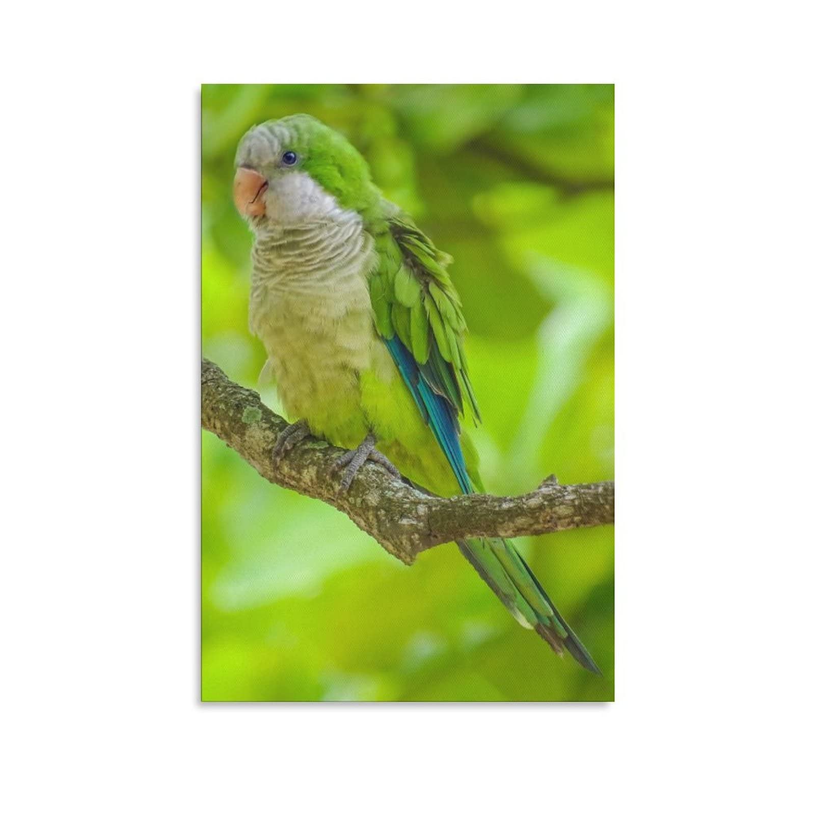 Kalita Parrot Bird Canvas Wall Art Print - Beautiful Tropical Bird Painting for Home & Office Decor (12x18 inches/30x45cm) - Perfect for Living Room, Bedroom, Nursery & Gift Giving