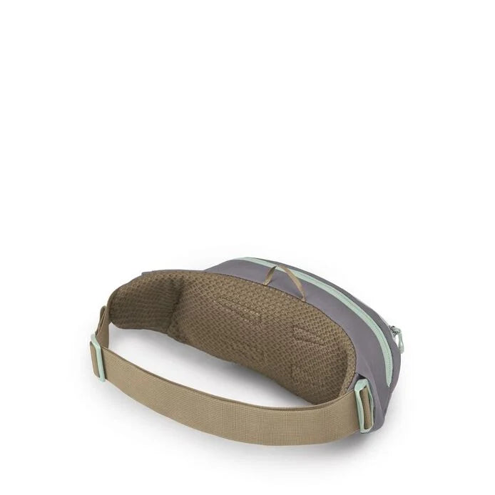 Osprey Daylite Waist Pack - Lightweight Hiking Fanny Pack for Men & Women - Perfect for Outdoor Adventures, Travel & Everyday Use