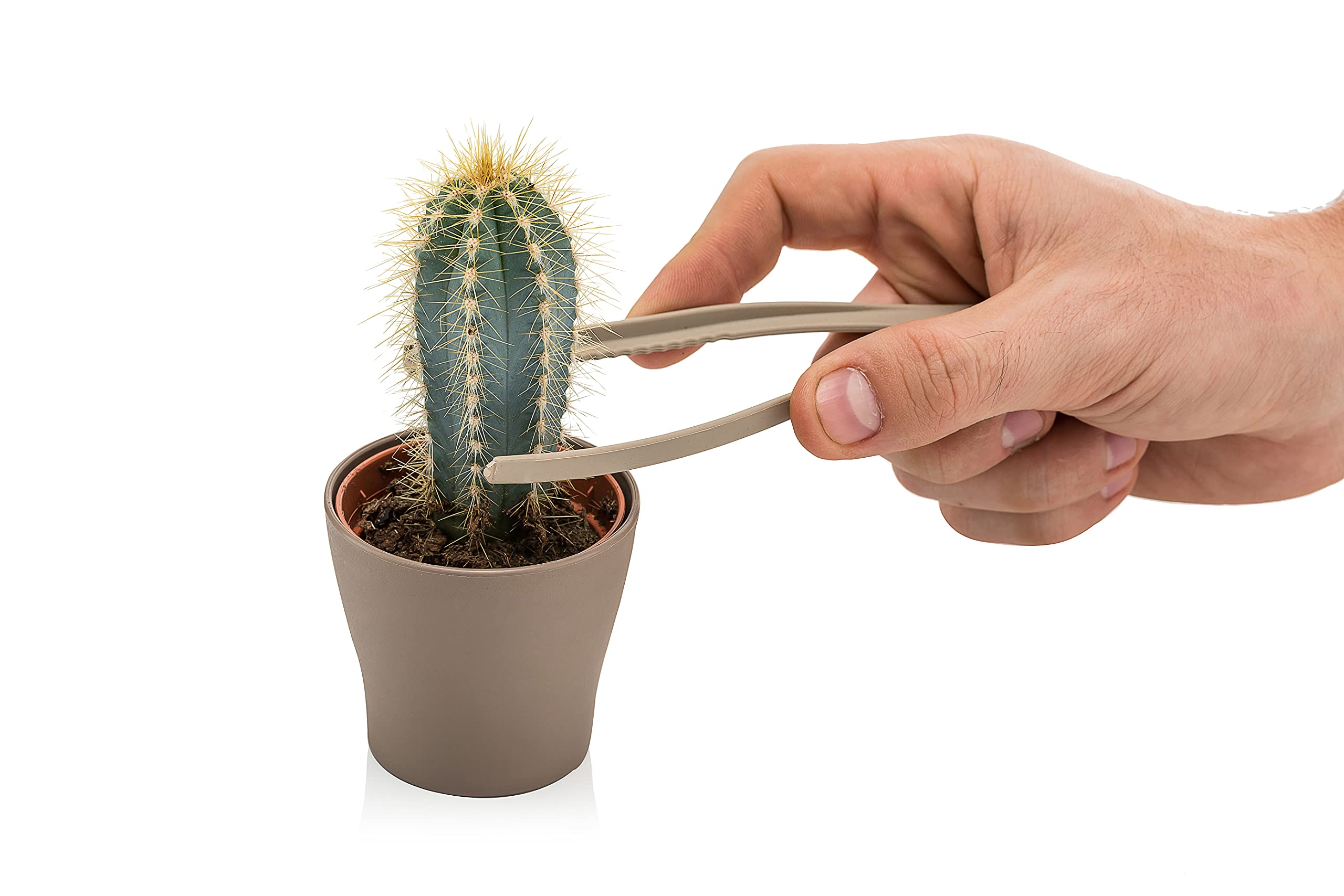 4-Piece Mini Garden Hand Transplanting Tool Set for Succulents, Cacti, Fairy Gardens, Bonsai & Houseplants - Includes Shovel & Thong (Green) - Perfect for Indoor Planting, Terrariums & Small Pot Gardening