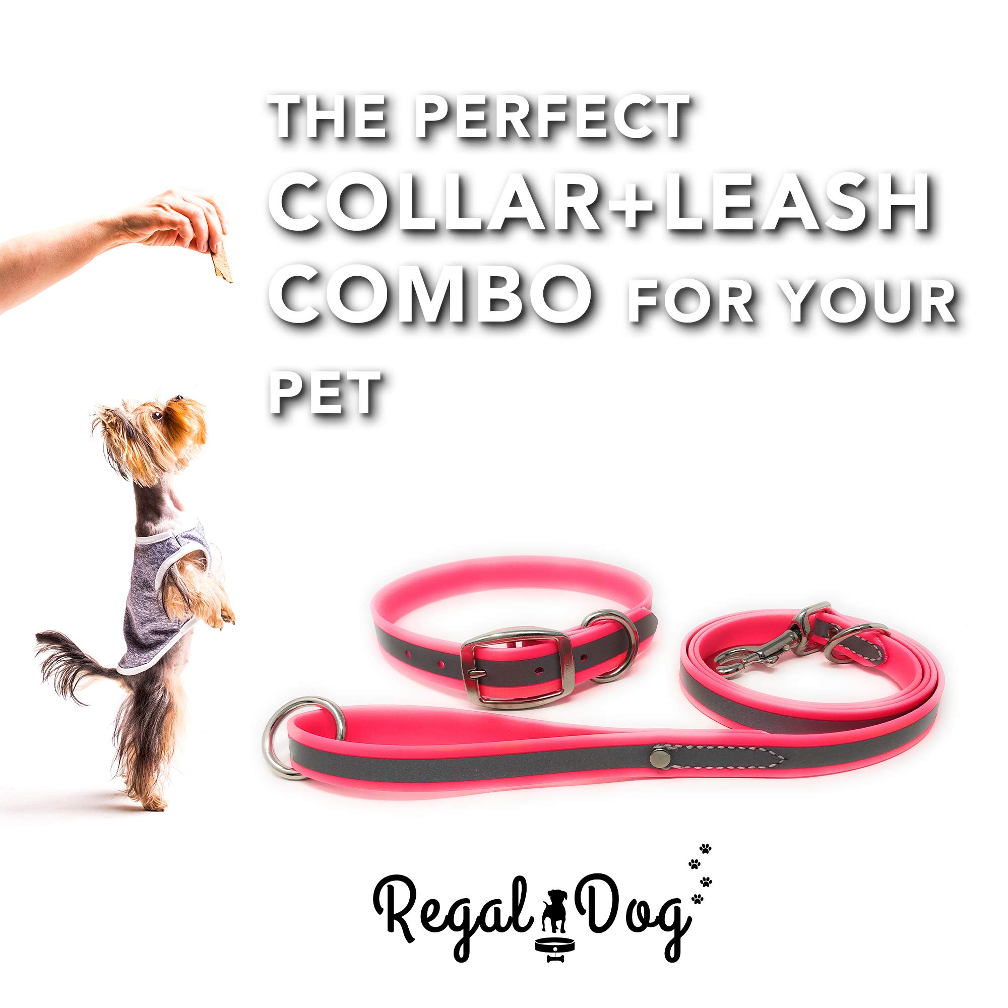 Regal Dog Products Medium Pink Reflective Dog Collar and Leash Set - Waterproof Biothane Dog Collar with Heavy Duty Double Buckle, D Ring & 5ft Leash - Perfect for Medium & Large Dogs - Ideal for Night Walks, Outdoor Adventures and Training Sessions