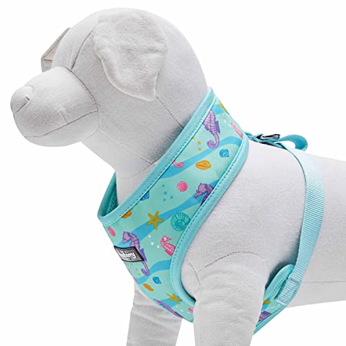 Seahorse and Friends
