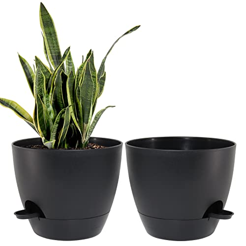 9 Inch Self Watering Planters (2 Pack) - Indoor Plant Pots with Drainage Holes & Saucers for Snake Plants, African Violets, Aloe Vera - Perfect for Home, Office Decor & Low Maintenance Houseplants