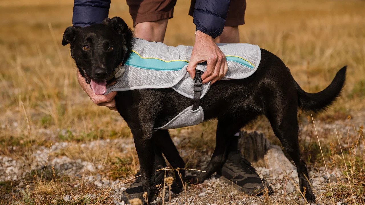 Cooling Dog Vest for Hot Weather - Breathable Swamp Cooler Vest for Dogs - Perfect for Summer Walks, Hiking & Outdoor Adventures