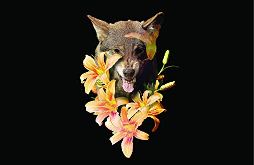 Wolfish Flowers
