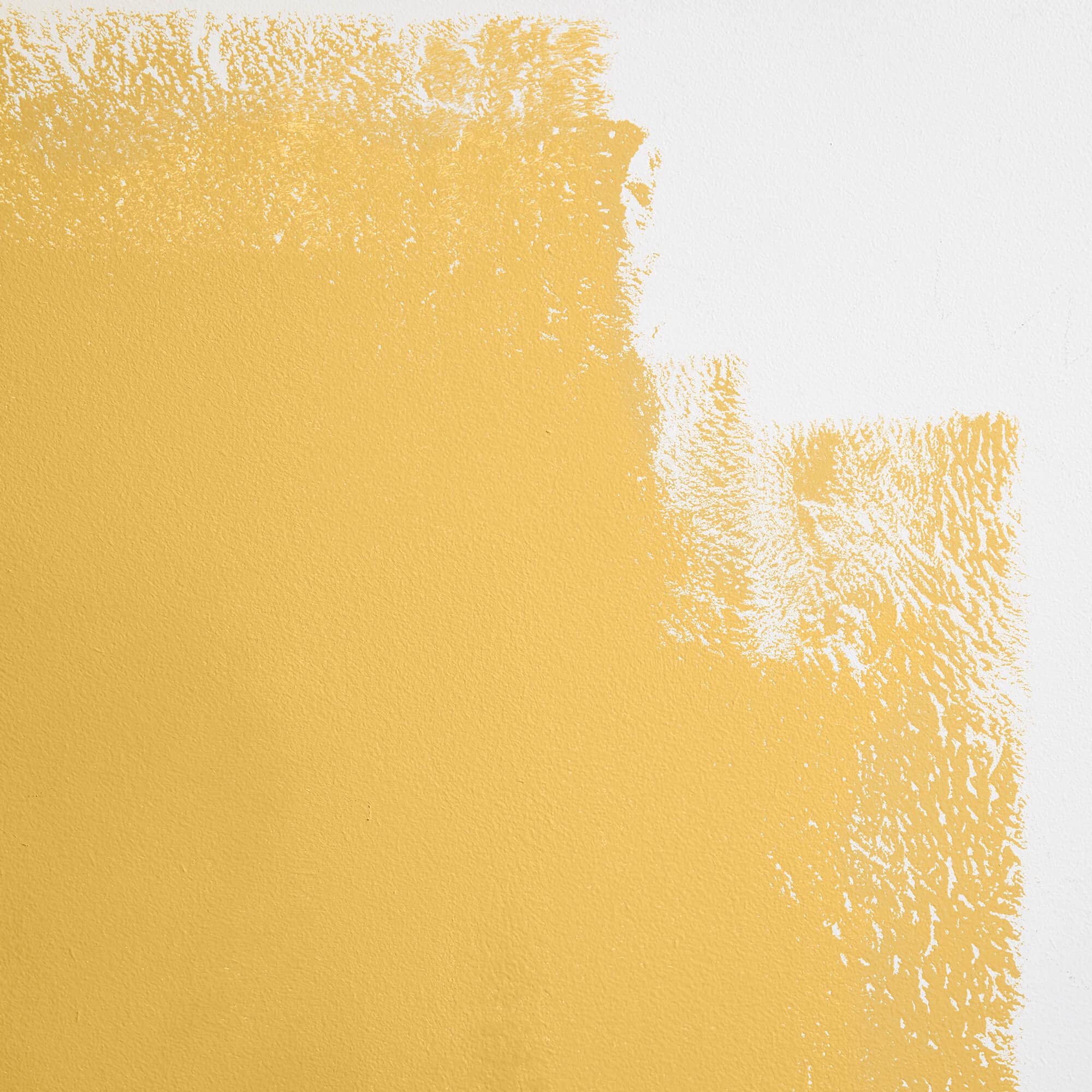 Premium Cabinet & Door Paint - Durable, Washable Semi-Gloss Finish | Self-Priming, Low VOC, Green Wise Certified | Pablo Honey Warm Yellow (0.5 Gallon) | Perfect for Kitchen Cabinets, Furniture & Home Decor Projects