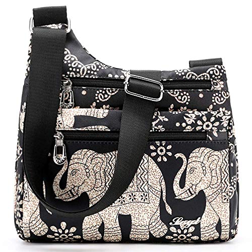 T10-elephant