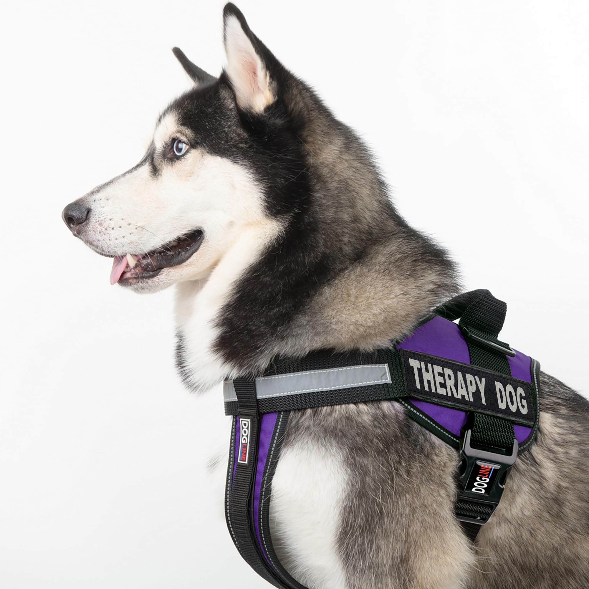 Premium Dog Vest Harness with 2 Removable Therapy Patches - Adjustable 28-38