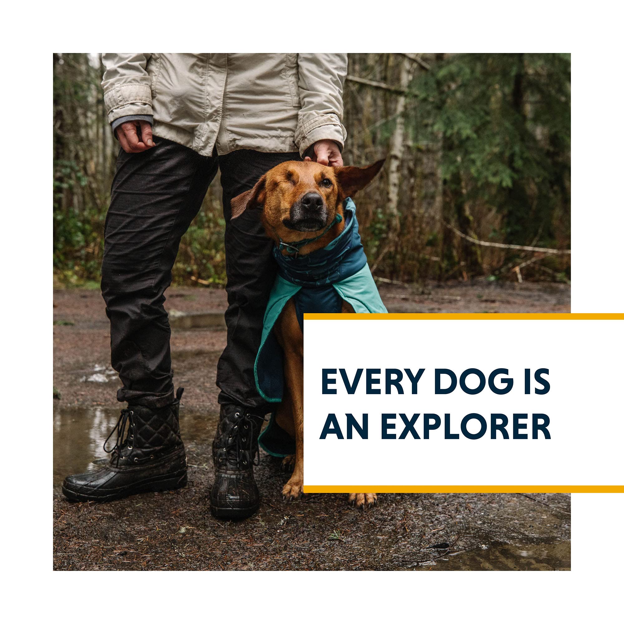 Ruffwear Dirtbag Dog Towel - Absorbent Quick-Dry Dog Coat for Camping, Hiking & Outdoor Adventures - Aurora Teal Small - Perfect for Wet Dogs After Swimming or Rainy Days