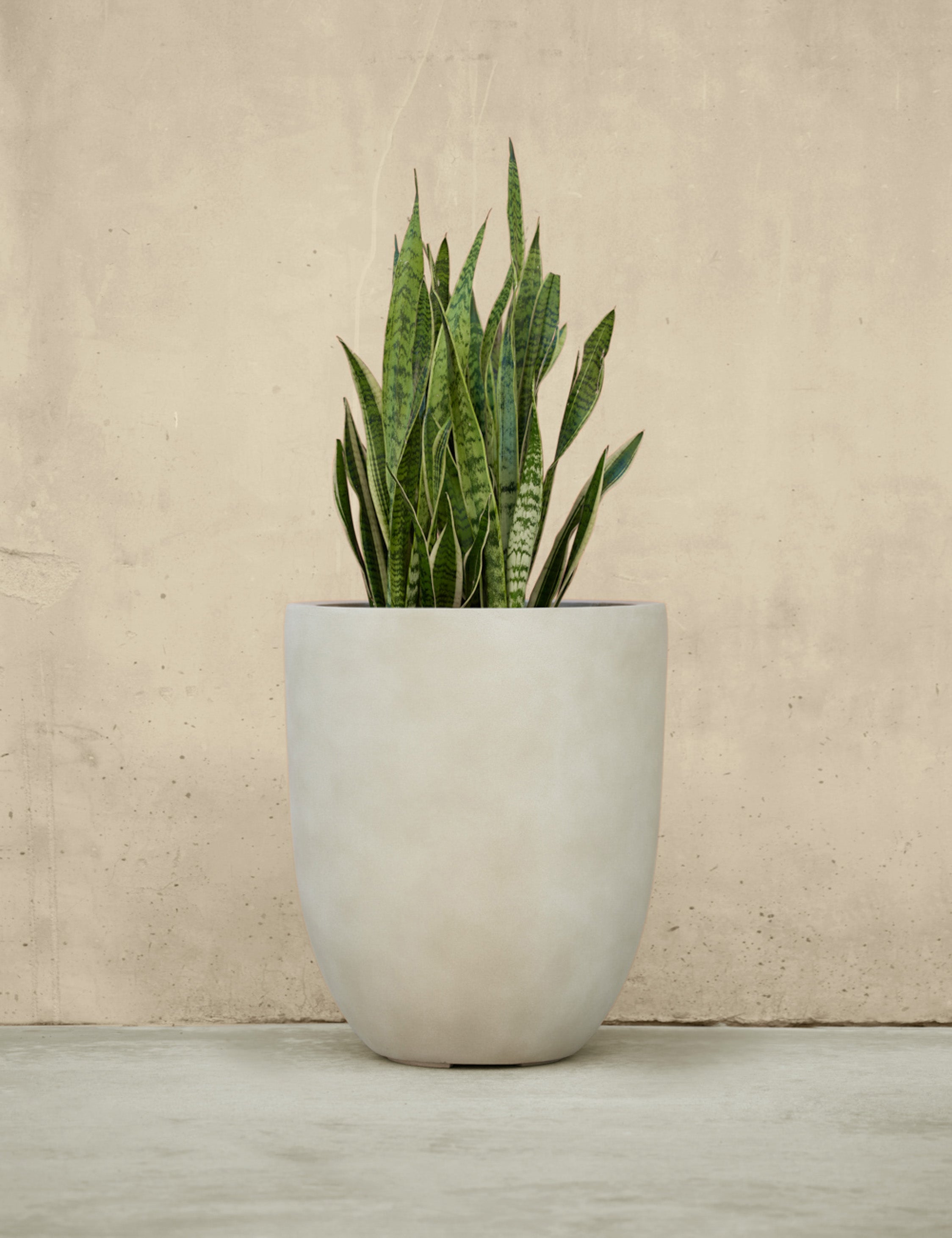 Campania International Bradford Planters - Elegant Garden Planters for Outdoor & Indoor Decor - Perfect for Patios, Balconies, and Home Gardens