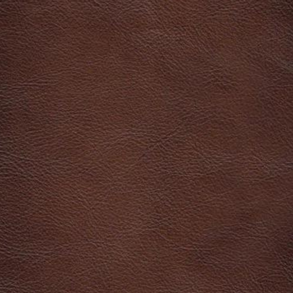 Hydeline Belfast Brown Premium Leather 3-Seater Sofa with Nailhead Trim - Luxurious Living Room Furniture for Home & Office Decor