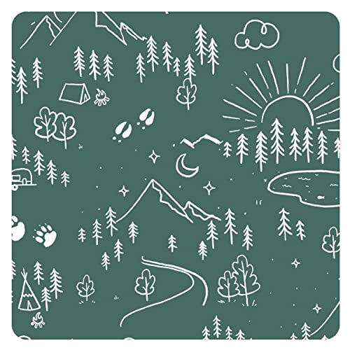 Pine Forest