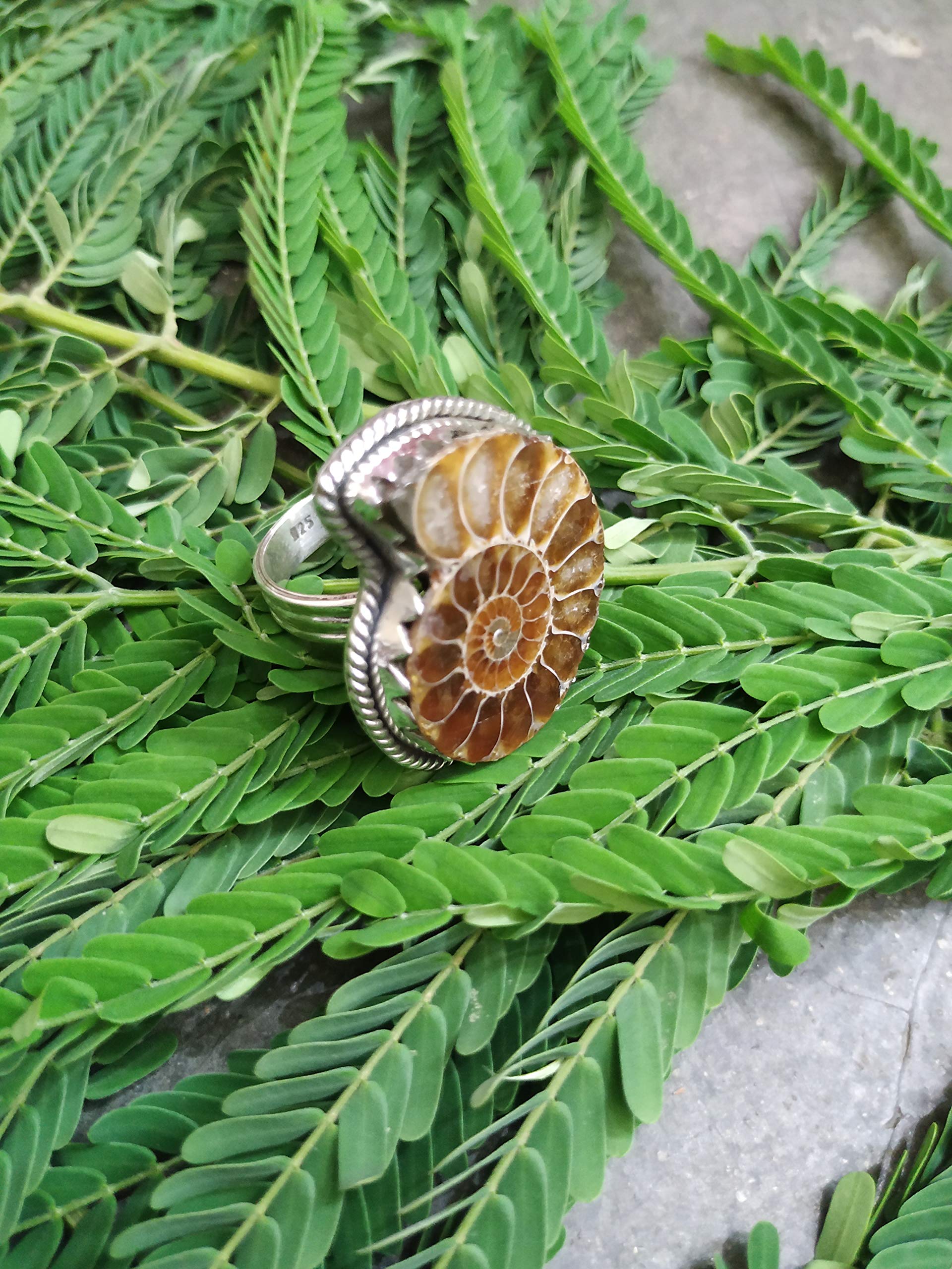 **Genuine Ammonite Fossil Sterling Silver Ring - Handmade Boho Sea Shell Jewelry for Women, Ocean Beach Wedding, Meditation & Promise Ring - Perfect for Boho Chic, Vintage Style & Spiritual Gifts**