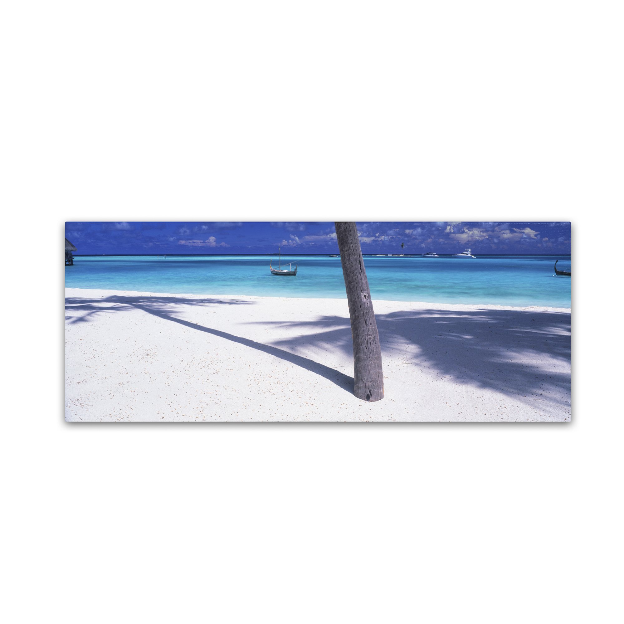 David Evans Palm Shadow-Maldives Wall Art Print - 6x19 Inches - Tropical Beach Decor for Living Room, Bedroom & Office