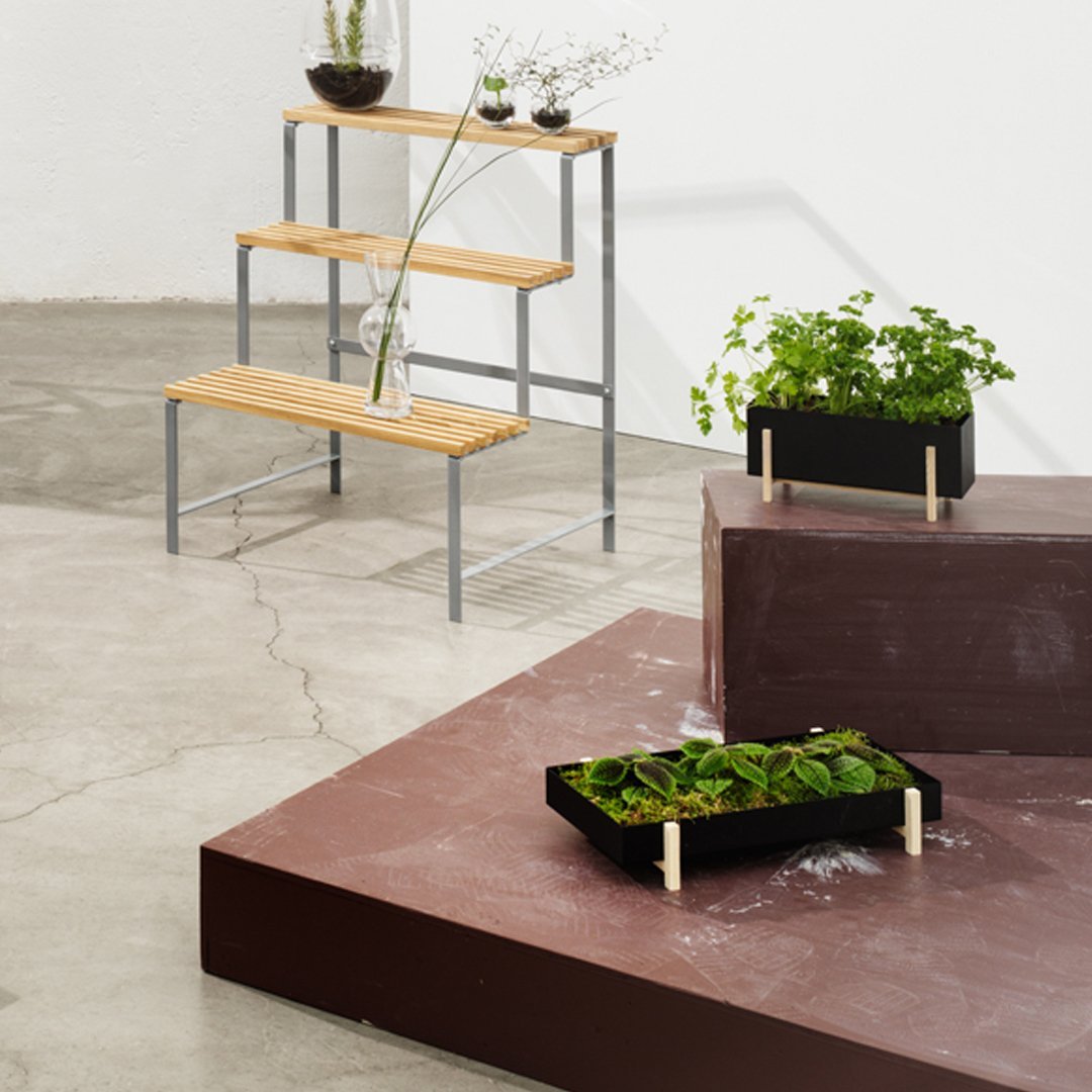 Atelier Botanic Box - Premium Home Decor & Gift Boxes | Scandinavian Design from Stockholm | Perfect for Housewarming, Weddings & Special Occasions