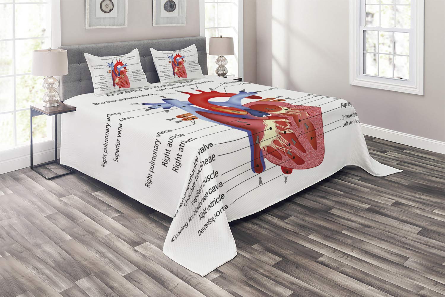 Ambesonne Science Quilt Set - Human Heart Anatomy & Veins Design, 3-Piece King Size Bedspread with 2 Pillow Shams, Multicolor | Perfect for Medical Students, Doctors & Science Enthusiasts Bedroom Decor