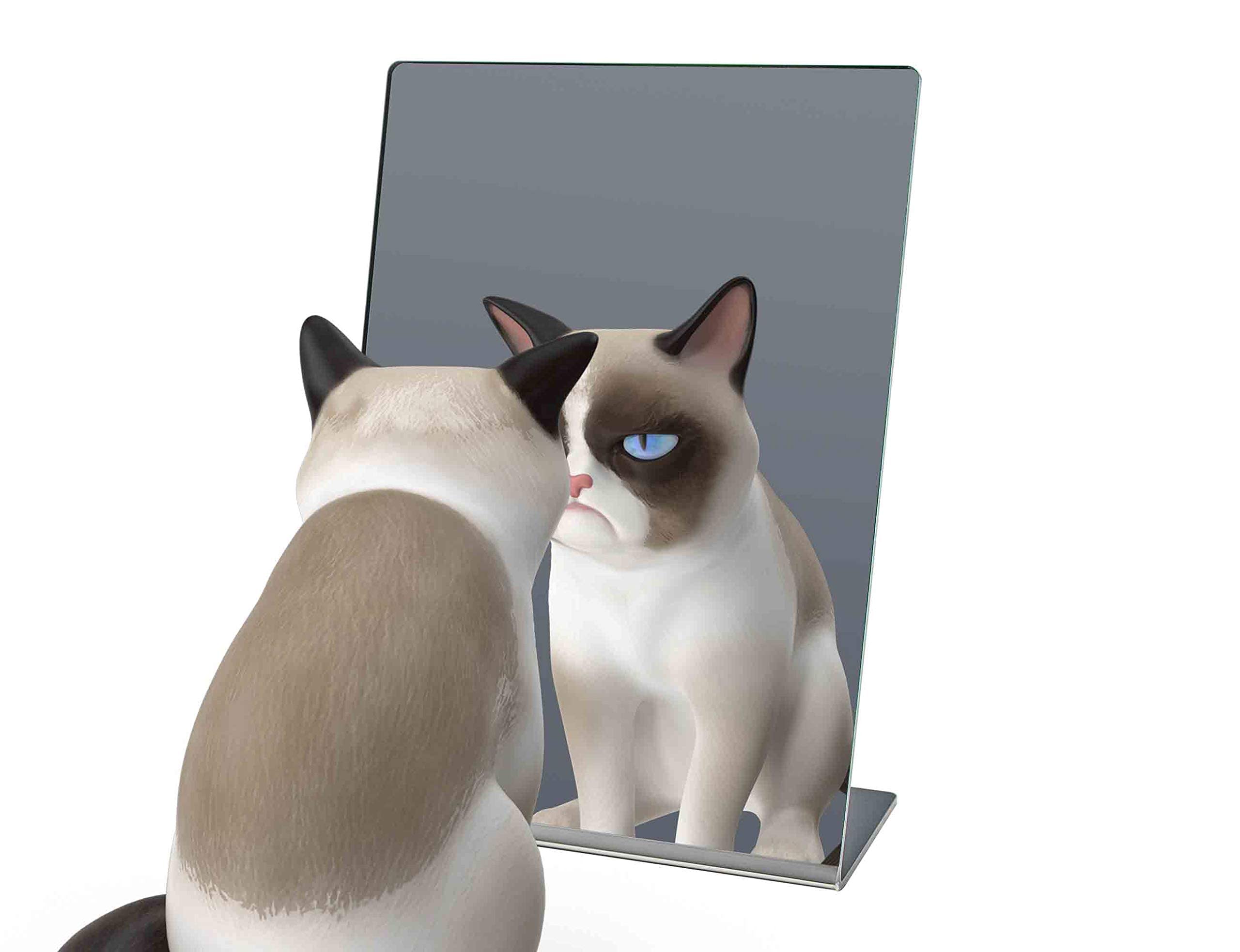 4 Pack Acrylic Mirror 5” x 7” - Slanted Countertop Display for Jewelry Stores, Hair Salons & Piercing Kiosks - Perfect Travel, Locker & Desk Makeup Mirror - Durable One-Piece Design for Retail & Personal Use