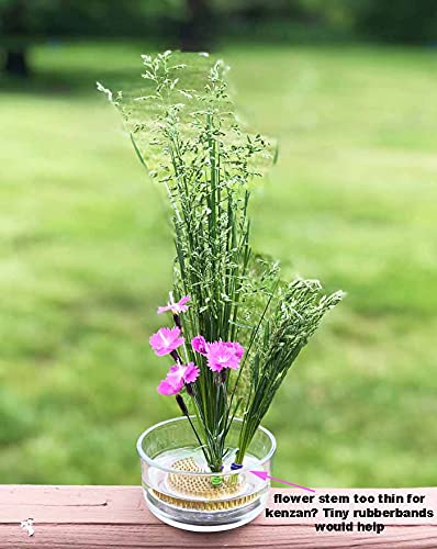 200 Clear Hair Ties for Women & Girls - Mini Rubber Bands for Styling & Pet Grooming