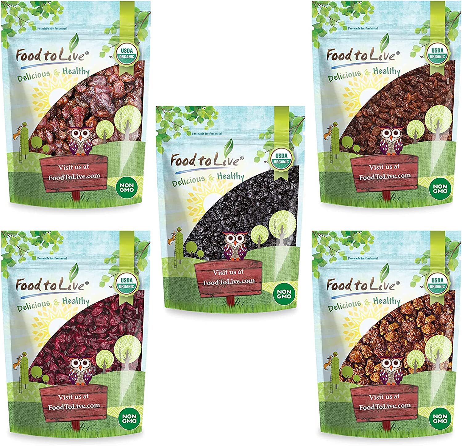 Organic Dried Berries Gift Box - Premium Variety Pack with Blueberries, Strawberries, Cranberries, Goldenberries & Raisins | Healthy Snacks for Hiking, Baking & Holiday Gifts