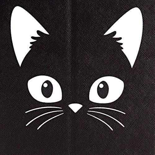 01 Black Cat