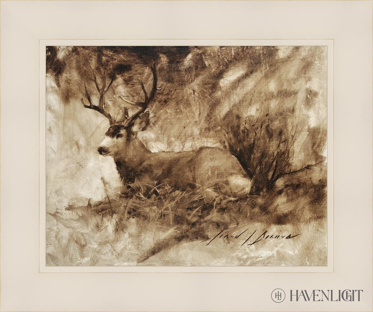 Bedded Buck By Jared Barnes - Premium Hunting & Outdoor Gear for Camping, Hiking & Adventure Enthusiasts