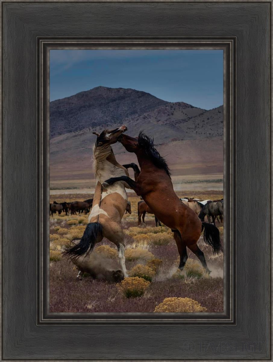 Desert Duel 1 by Greg Sargent - Western Adventure Novel for Adults | Perfect for Book Clubs, Gifts & Western Fiction Fans