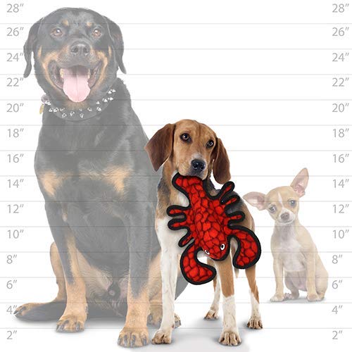 TUFFY Ultra-Durable Soft Dog Toy - Ocean Tiger Shark with Squeakers, Multi-Layer Construction for Tough Chewers | Interactive Play for Tug, Fetch & Toss | Machine Washable & Floats (Combo Pack #2) - Perfect for Aggressive Chewers, Beach Trips & Water Play