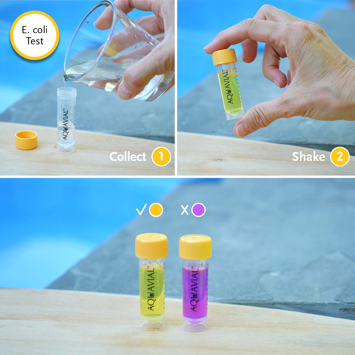 **Water Testing Kit for Total Bacteria & E. Coli – 2-in-1 Drinking Water, Pool, Pond, Lake & Well Water Quality Tester – Home, Camping & Emergency Use**
