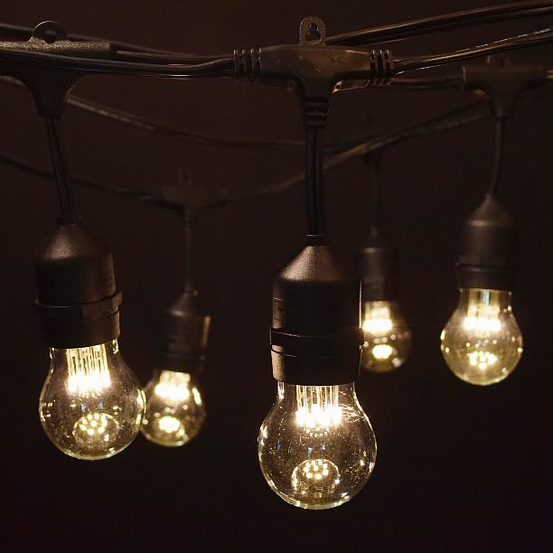 A15 LED 9 Diode 1 Watt Bulbs
