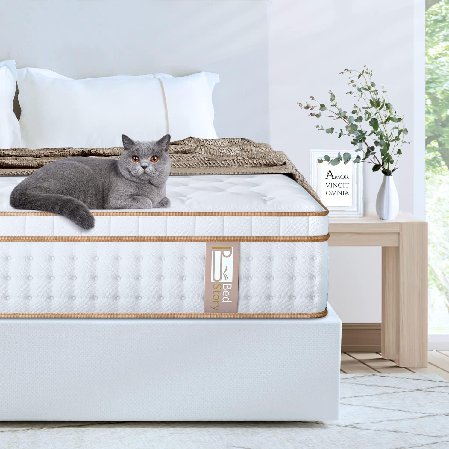 BedStory 12 Inch Hybrid Queen Mattress - Medium Firm Gel Memory Foam & Pocket Springs, Euro Top Design, CertiPUR-US Certified (White) | Perfect for Back Pain Relief, Guest Rooms & Master Bedrooms